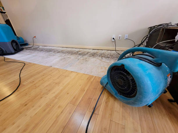 Professional Burst Pipe Water Damage technician working in Faxon, PA